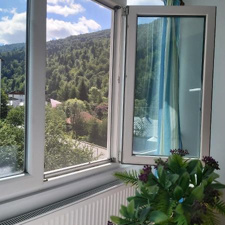 Apartment Valea Azugii Азуга Екстер'єр фото