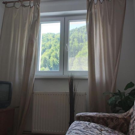 Apartment Valea Azugii Азуга Екстер'єр фото