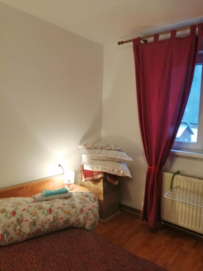 Apartment Valea Azugii Азуга Екстер'єр фото