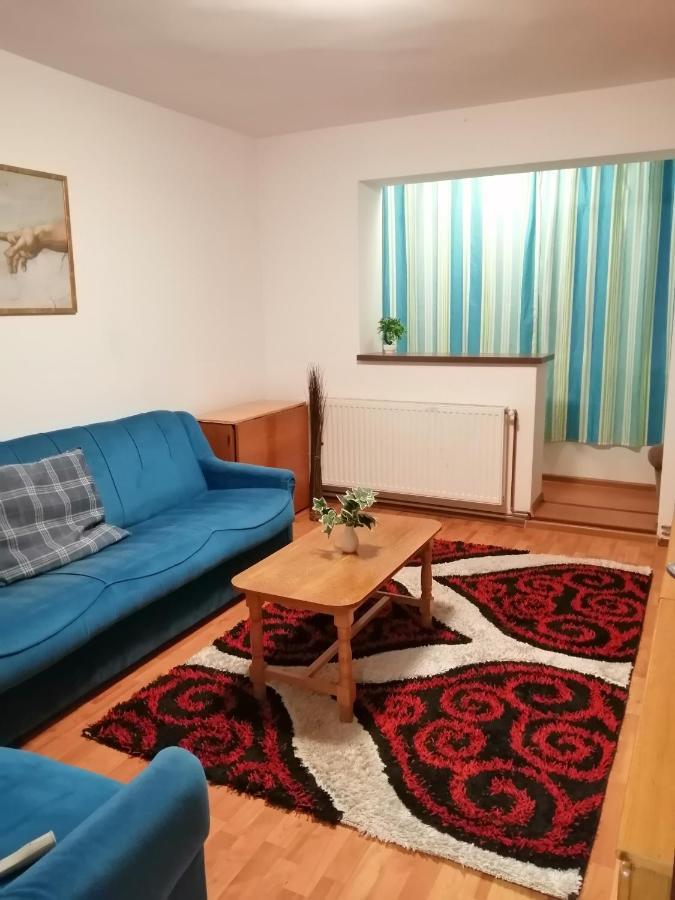 Apartment Valea Azugii Азуга Екстер'єр фото
