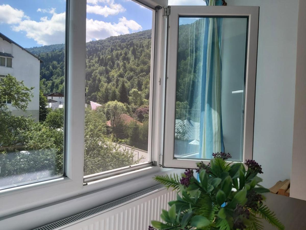 Apartment Valea Azugii Азуга Екстер'єр фото