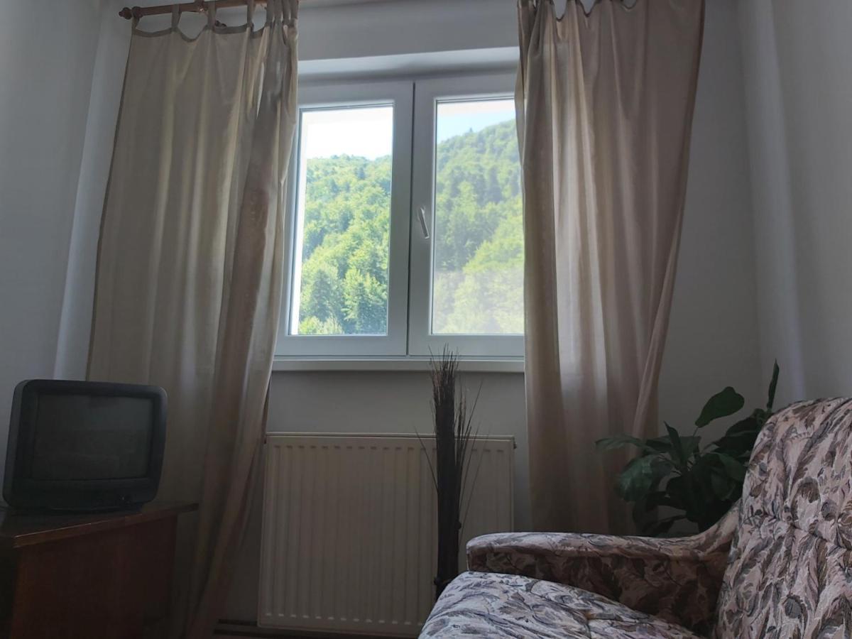 Apartment Valea Azugii Азуга Екстер'єр фото