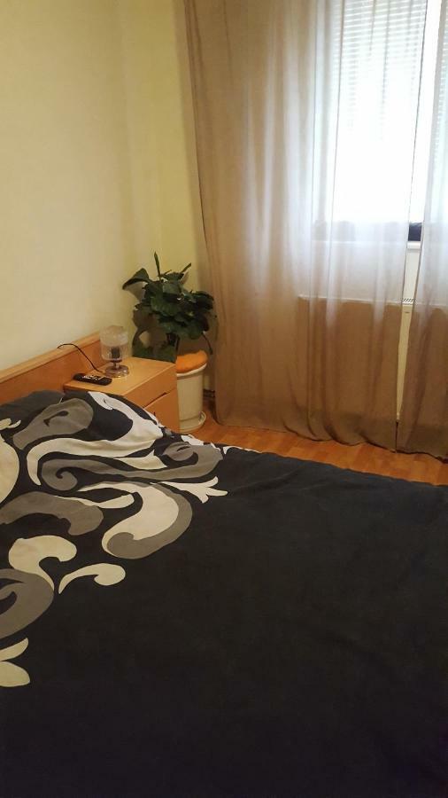 Apartment Valea Azugii Азуга Екстер'єр фото